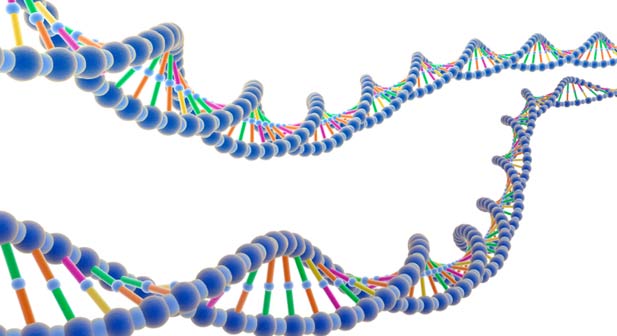 Is Human Biology A Natural Science Or Physical Science Is Human Biology A Natural Science Or Physical Science