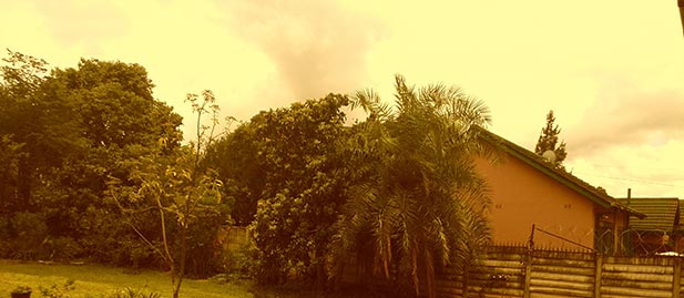 Photo taken with preset antique theme