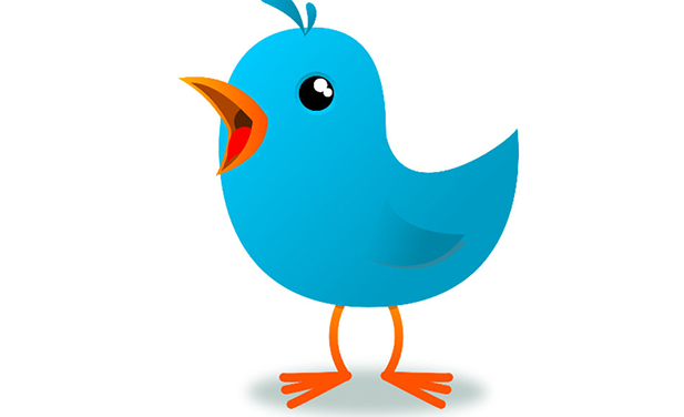 twigle app