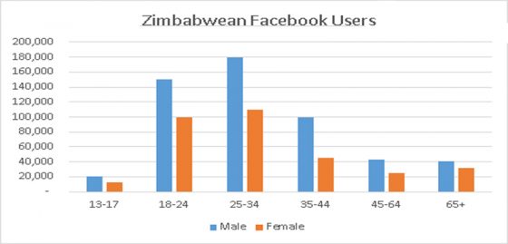 Facebook Zimbabwe user demographics