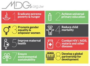 MDGs.org.zw