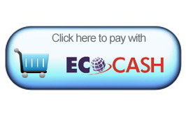 EcoCash internet payments