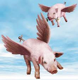 pigs-flying