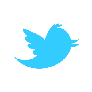 Twitter bird