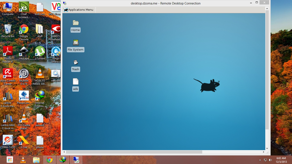Ubuntu 13.10 remote desktop