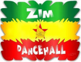 Zim dancehall artists can make a killing on the internet, Here's how.