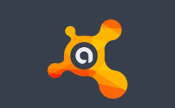 IT Security, Anti- Virus options,