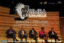 Zimbabwean entrepreneurship, Simba Savannah, Zimbabwean businesses