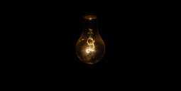 bulb in the dark
