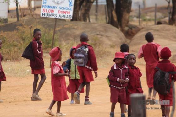 Grade 7 results come out today, here's how you access them online - Techzim