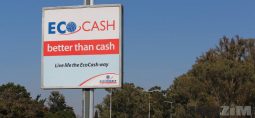 Calculating EcoCash charges