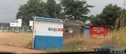 EcoCash and telecash stands