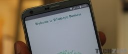 A phone showing WhatsApp Business start screen