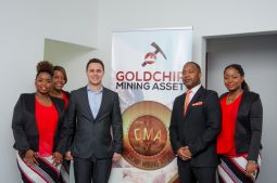 Goldchip Investments Team
