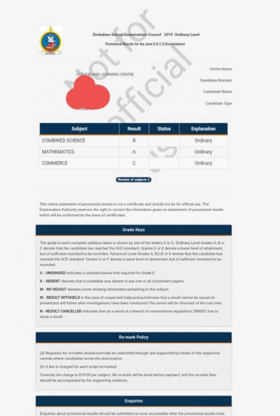 Picture How Zimsec June Results Appear On The Online Portal - Techzim