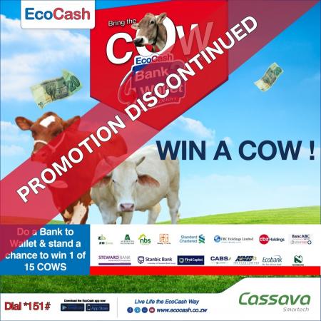 EcoCash bank to wallet promo banks