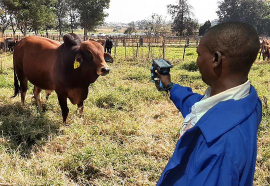 E-Livestock Mastercard Blockchain based Provenance