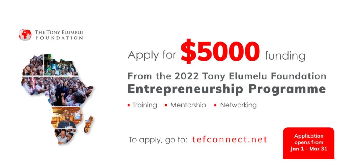 Tony Elumelu Entrepreneurship Programme