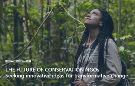 The Future of Conservation NGOs