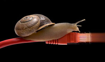 Snail - Internet Speed