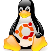 Ubuntu Penguin